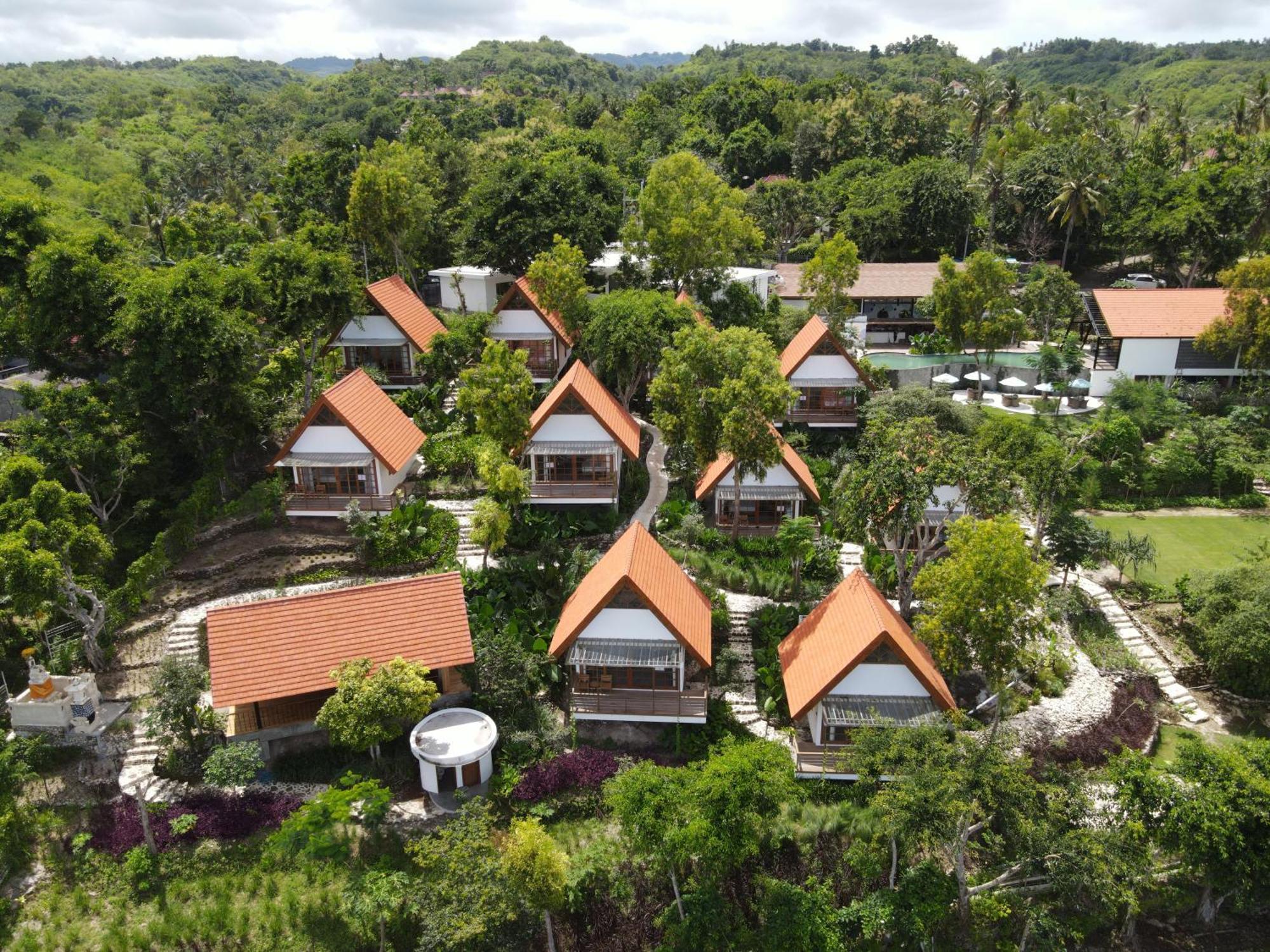 Deep Roots Dive & Yoga Resort Ped Eksteriør billede