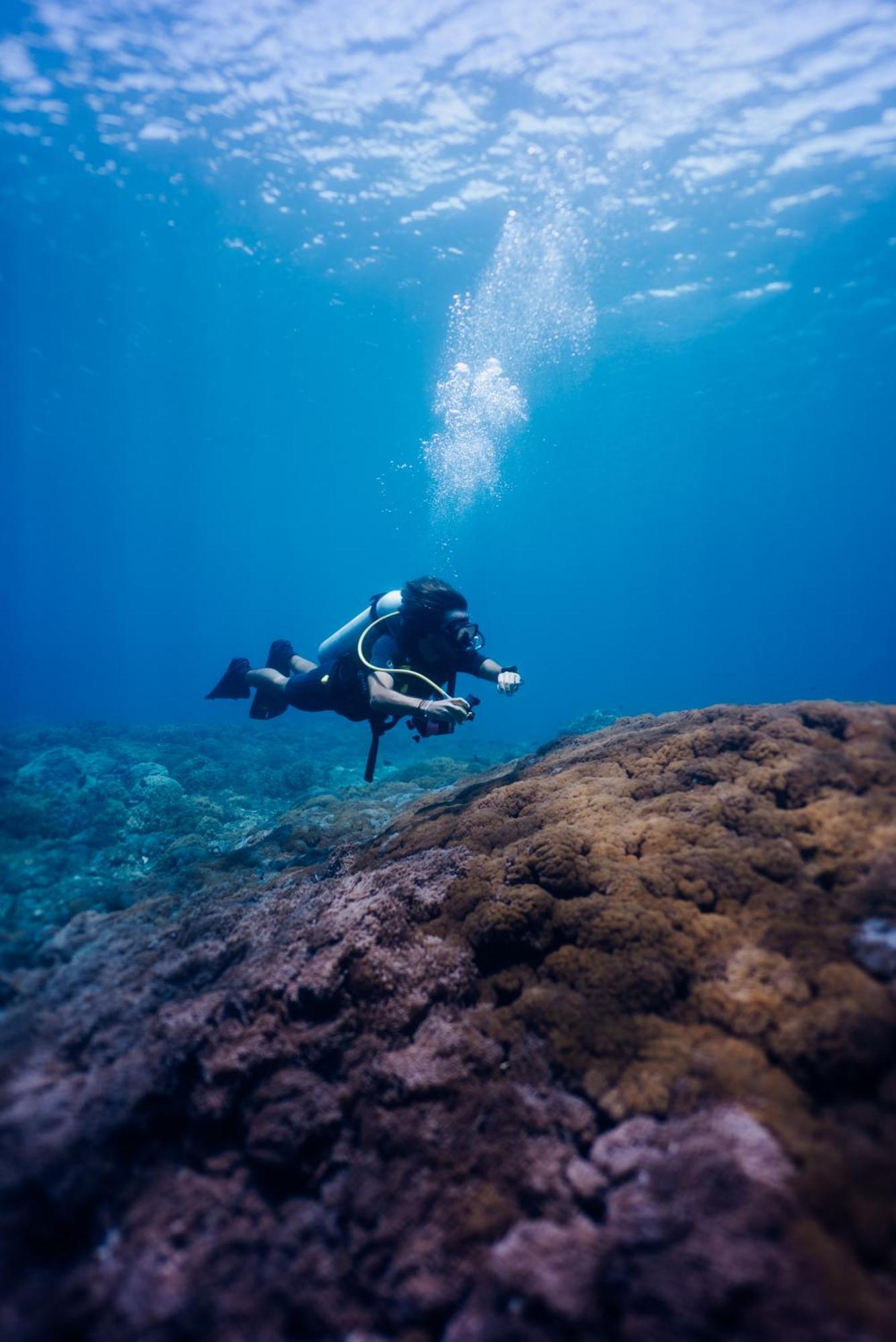 Deep Roots Dive & Yoga Resort Ped Eksteriør billede